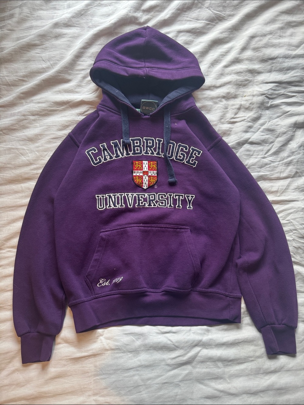 Purple Hooded Sweatshirt - Classic Collegiate Hoodie